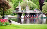 Swan Boats